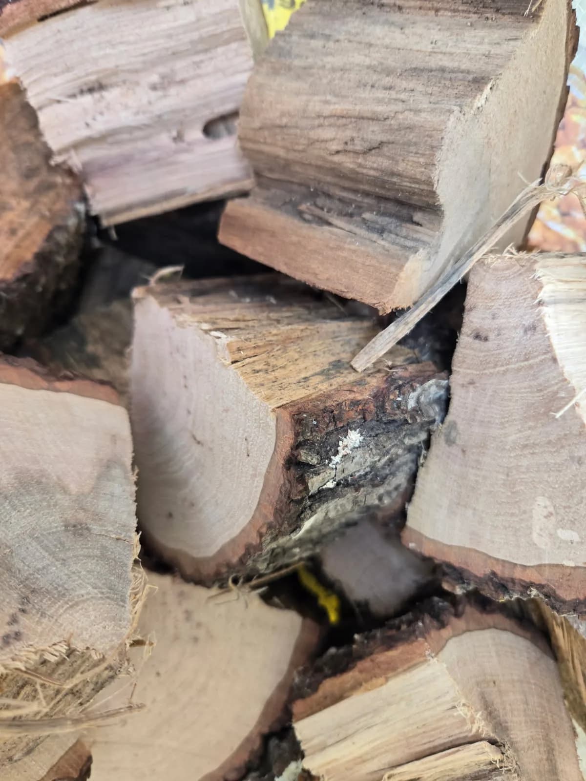A close pile of chunked smoke wood, cut faces showing the grain, ready for the smoker.