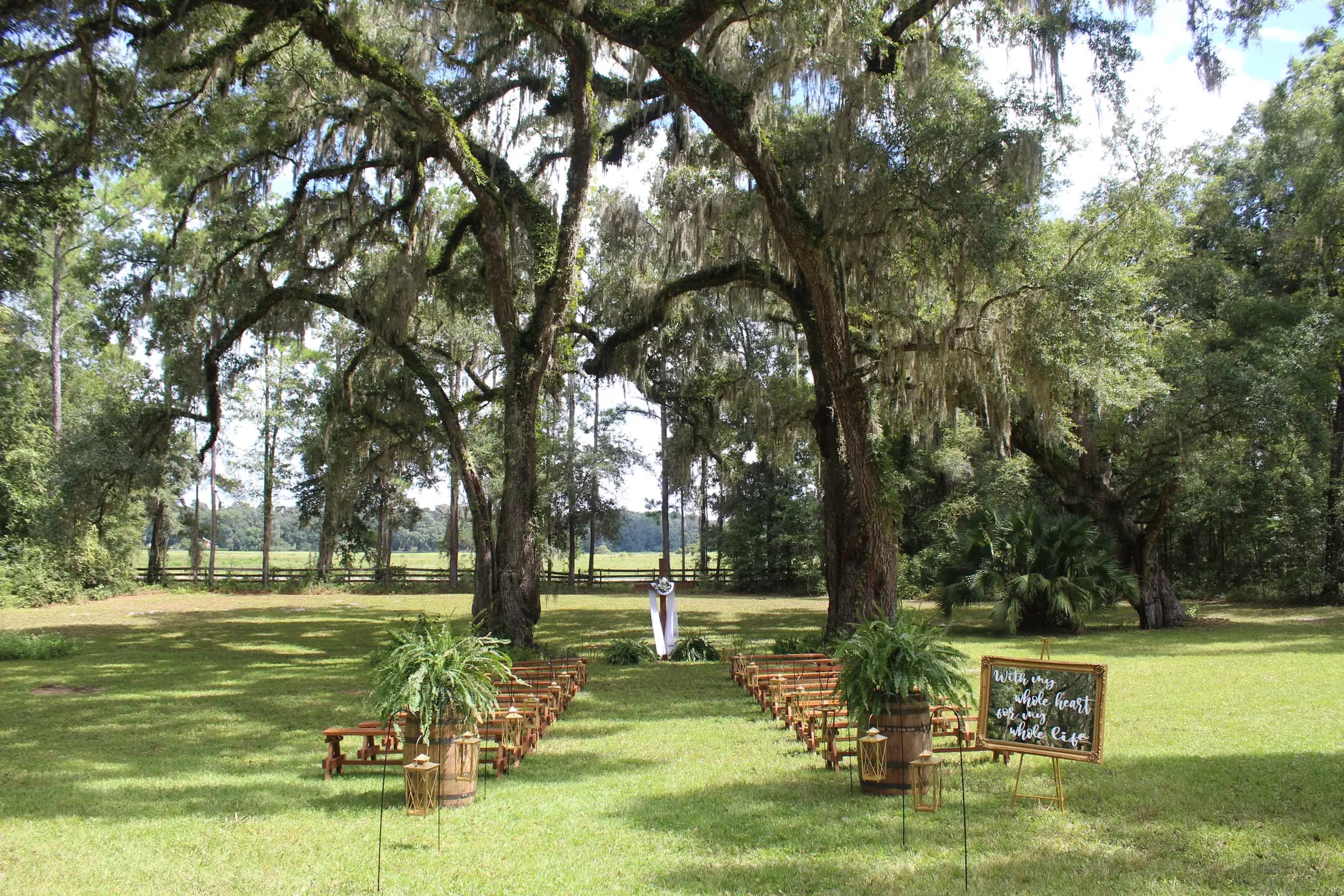 A ceremony laid out on mown grass beneath a wide canopy of moss hung live oaks: two blocks of small wooden chairs facing a draped arch, potted ferns in barrels at the front, a chalkboard sign to one side, open pasture and fence line beyond.