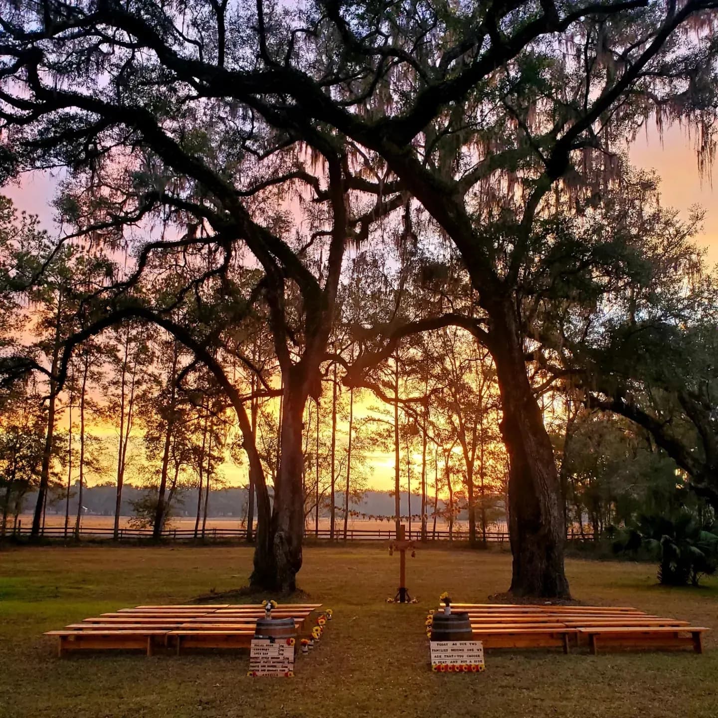 The ceremony lawn at sunset, wooden benches set in rows facing a simple cross, framed between two enormous live oaks hung with Spanish moss, the sky burning orange behind the treeline.