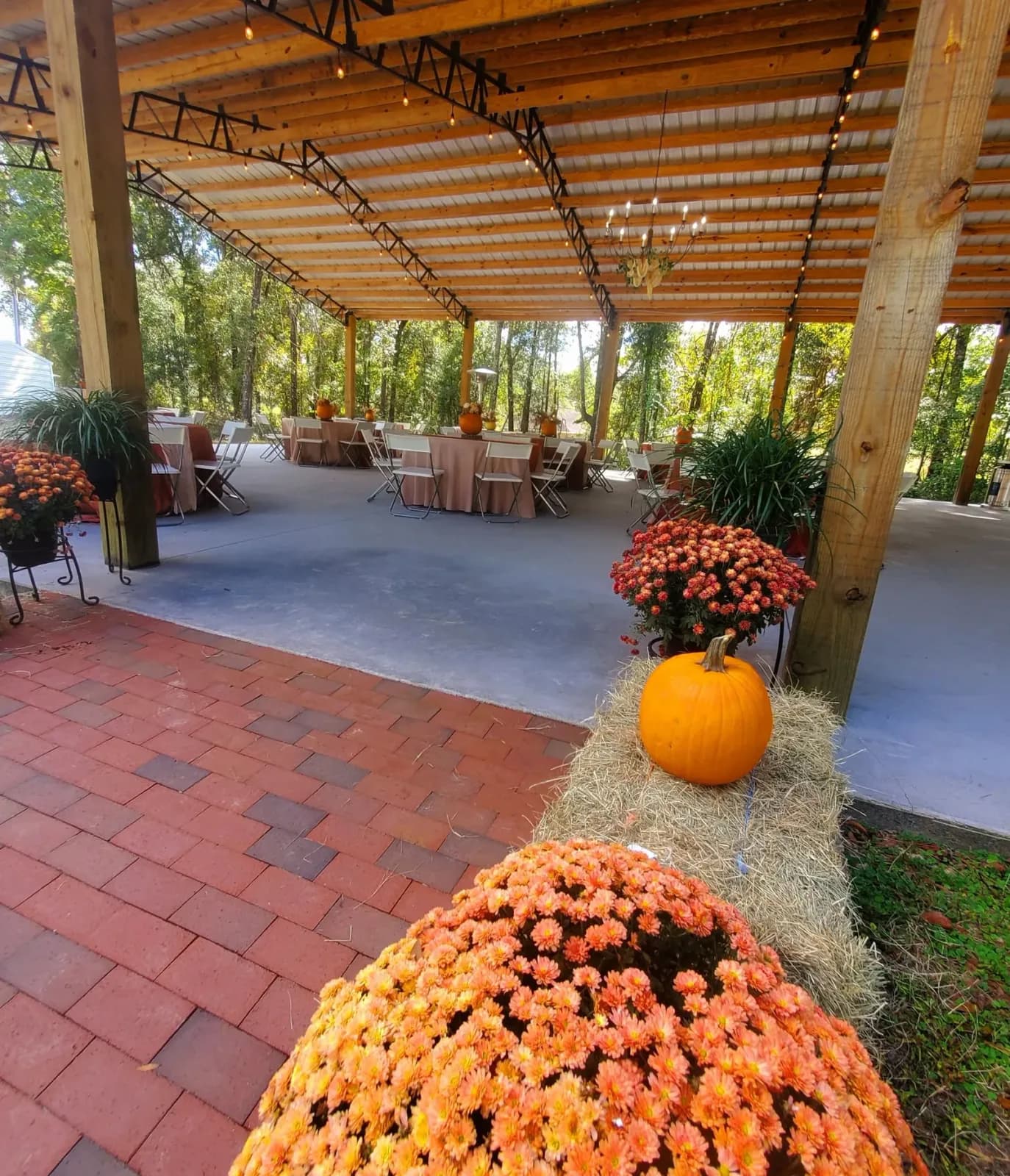 Pots of orange mums and a pumpkin arranged on the brick edge of the pavilion